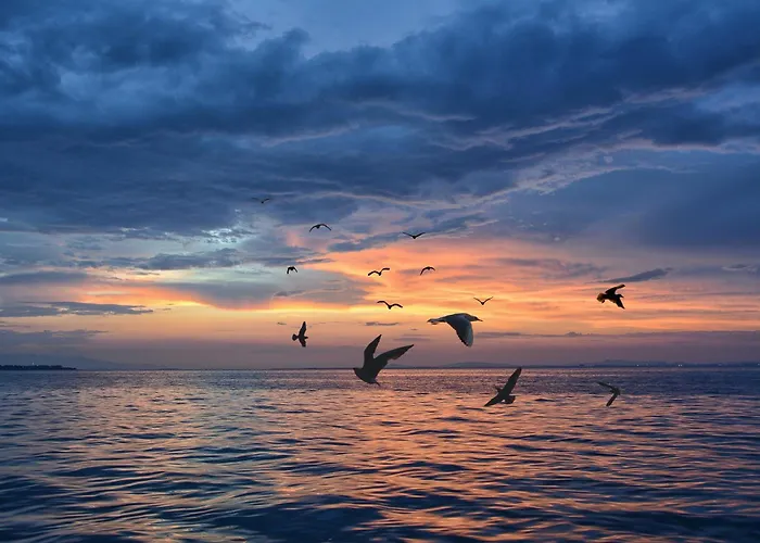 Hotel Emocja SPA Mielno 